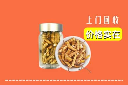 临汾市古县回收散虫草