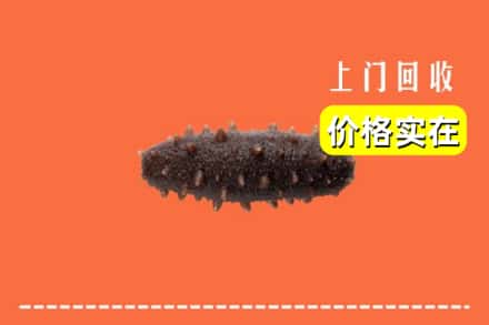 临汾市古县回收海参