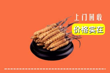 临汾市古县回收冬虫夏草