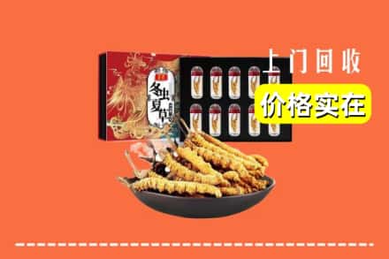 临汾市古县回收虫草